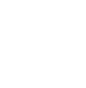 Procesador Octa-Core